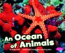 Ocean of Animals