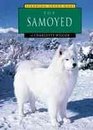 The Samoyed