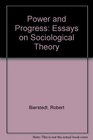 Power and Progress  Essays on Sociological Theory