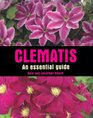 Clematis An Essential Guide