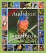 Audubon Songbirds and Other Backyard Birds Calendar 2006