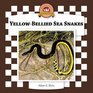 Yellowbellied Sea Snakes