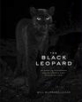 The Black Leopard: My Quest to Photograph One of Africa?s Most Elusive Big Cats