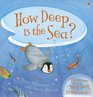 How Deep Is the Sea? (Picture Books)