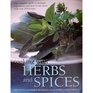 Cooking with Herbs and Spices