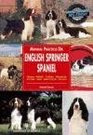 Manual practico del English Springer Spaniel / Practical Manual of English Springer Spaniel