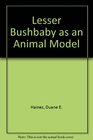 Lesser Bushbaby As An Animal Model