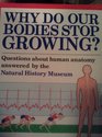 Why Do Our Bodies Stop Growing