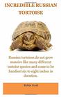Incredible Tortoise The Russian TortoiseRussian Tortoise Care For Beginners All You Need To Know Concern  The Daily Care Pro's and Cons Cages Costs Diet Breeding All Covered