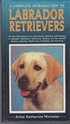 Complete Introduction to Labrador Retrievers