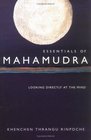 Essentials of Mahamudra  Looking Directly at the Mind