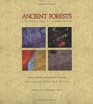 Ancient Forests: A Closer Look at Fossil Wood