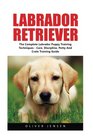 Labrador Retriever Complete Labrador Puppy Training Techniques  Care Discipline Potty And Crate Training Guide