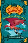 How to Betray a Dragon's Hero (How to Train Your Dragon, Bk 11)