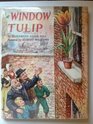 The Window Tulip