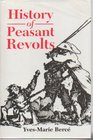 Peasant Revolts in Early Modern France