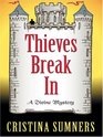 Thieves Break In