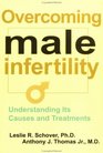 Overcoming Male Infertility Understanding Its Causes and Treatments
