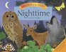 Sounds of the Wild Nighttime