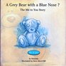 A Grey Bear with a Blue Nose