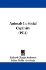 Animals In Social Captivity