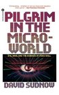 Pilgrim in the Microworld