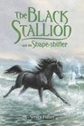 The Black Stallion and the ShapeShifter