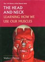 The Head and Neck Learning How We Use Our Muscles
