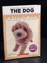 The Dog A Star is Born
