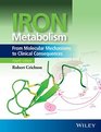 Iron Metabolism From Molecular Mechanisms to Clinical Consequences