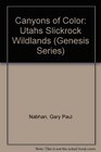 Canyons of Color Utahs Slickrock Wildlands