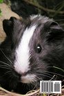 So Very Cute Black and White Guinea Pig Pet Journal 150 Page Lined Notebook/Diary