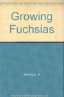 Growing Fuchsias