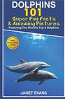Dolphins 101 Fun Facts  Amazing Pictures
