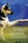 Energy Healing for Animals A HandsOn Guide for Enhancing the Health Longevity and Happiness of Your Pets