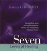 The Seven Levels of Healing