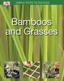 Bamboos  Grasses