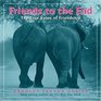 Friends to the End : The True Value of Friendship