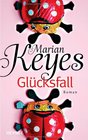 Glucksfall (The Mystery of Mercy Close) (Walsh Family, Bk 5) (German Edition)