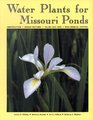 Water Plants for Missouri Ponds