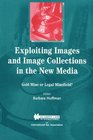 Exploiting Images and Image Collections in the New Media  Gold Mine or Legal Minefield