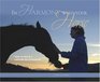 In Harmony With Your Horse  How to Build a Lasting Relationship