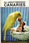 All about Breeding Canaries