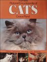 PURNELL'S PICTORIAL ENCYCLOPEDIA OF CATS