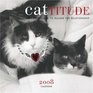 Cattitude 2008 Wall Calendar