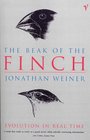 The Beak of the Finch Story of Evolution in Our Time
