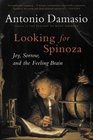 Looking for Spinoza Joy Sorrow and the Feeling Brain