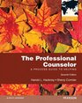 The Professional Counselor A Process Guide to Helping