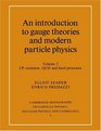 An Introduction to Gauge Theories and Modern Particle Physics Volume 2 CPViolation QCD and Hard Processes
