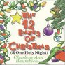 The 12 Dazes of Christmas: ( One Holy Night)